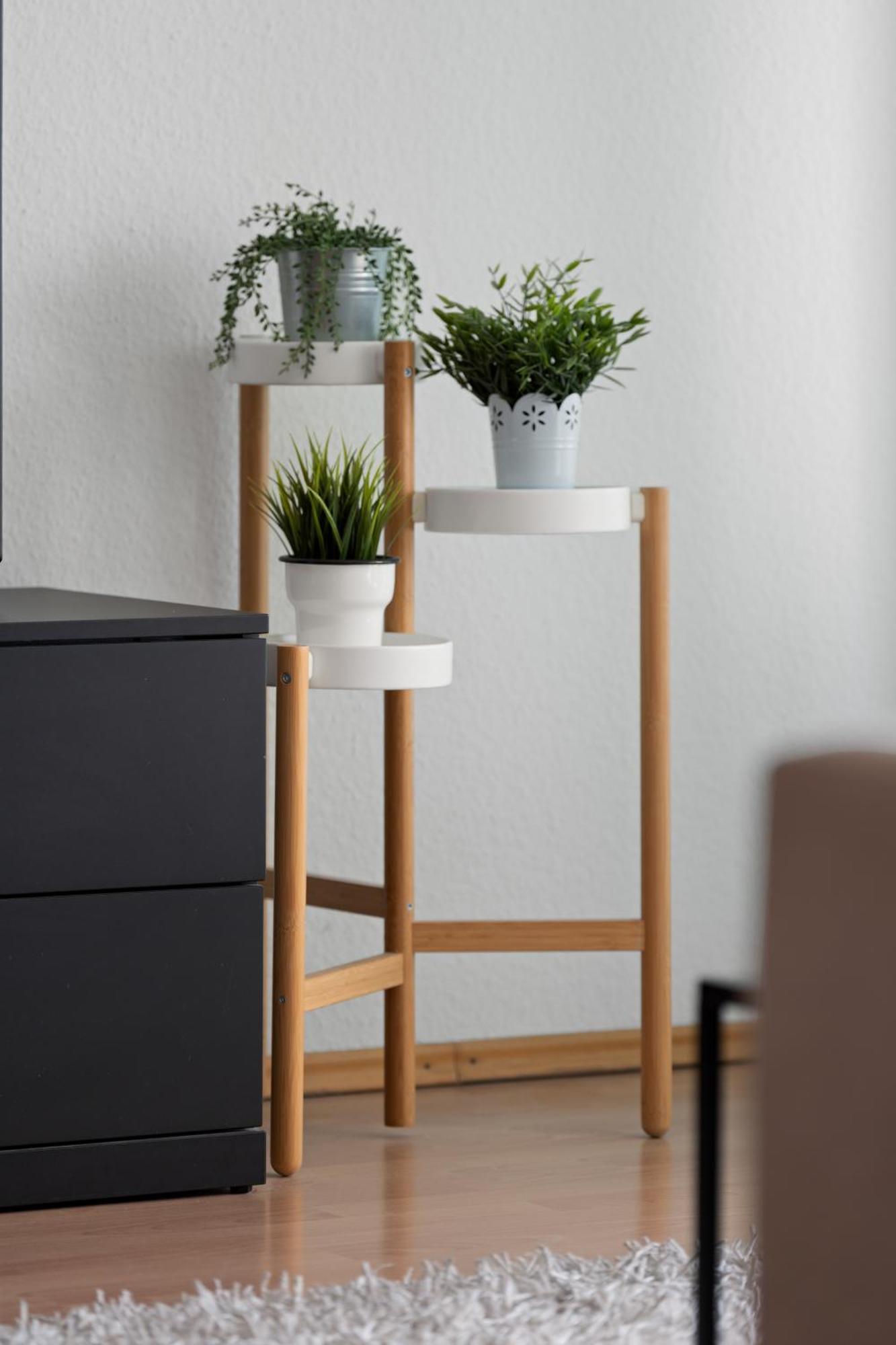Anytime - Ferienwohnung Rita In FDH Extérieur photo